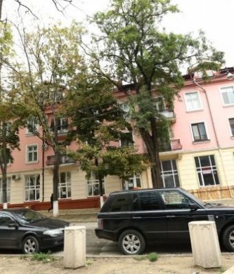 Канду выкупил у Плахотнюка апартаменты на Болгарской