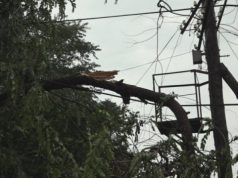 Игорь Додон предлагает Правительству создать комиссию по ликвидации последствий непогоды