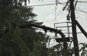 Игорь Додон предлагает Правительству создать комиссию по ликвидации последствий непогоды