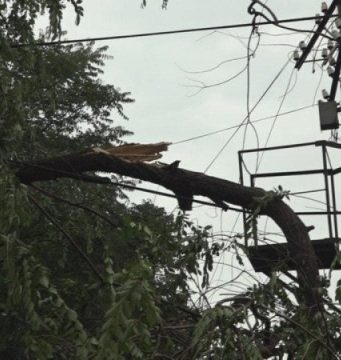 Игорь Додон предлагает Правительству создать комиссию по ликвидации последствий непогоды