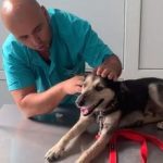 04367ddbbb92f0877b9af8f5c09d5b81