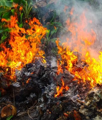 В Молдове введут правила по сжиганию мусора мусор