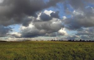 В Молдове синоптики объявили желтый код пожарной опасности: предупреждение будет действовать до 4 сентября
