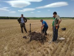 В Молдове найдены останки бойца Красной армии поисковики