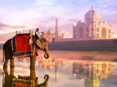 Как Молдова сэкономили на Гане, Аргентине и Индии