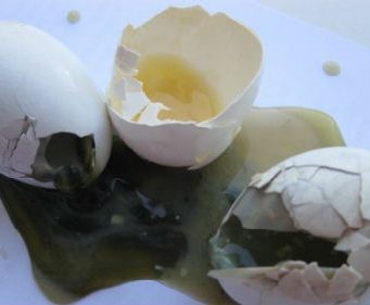 Яйца-убийцы не заканчиваются в Молдове тухлые яйца