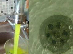 В Тирасполе вода окрасилась в цвет абсента