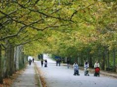 Клименко и Мунтяну зарегистрированы в качестве кандидатов на пост генпримара