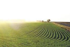 Фермерам нужна срочная помощь