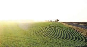 Фермерам нужна срочная помощь