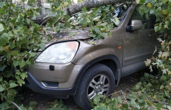 В Кишиневе рухнувшее дерево повредило трубопровод и автомобили