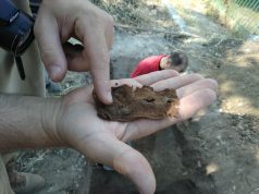 Погоны героя, освобождавшего Молдову, переданы на его родину