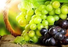 Минсельхоз призывает производителей винодельческого сектора зарегистрироваться в винном регистре