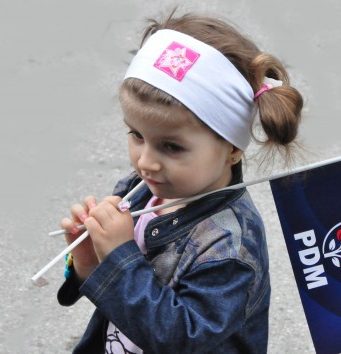 Больше всего примаров баллотируется от Демпартии