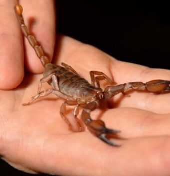 Трагически скончался друг Кавкалюка