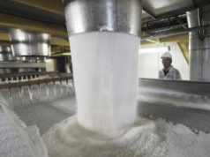 Фалештский сахарный завод приостанавливает свою работу на два года