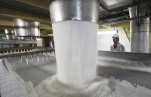 Фалештский сахарный завод приостанавливает свою работу на два года