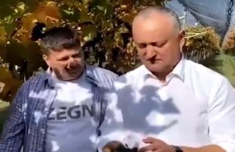 Додон – россиянам: покупайте молдавский виноград!