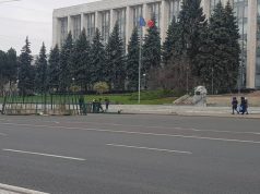 В центре Кишинева началась установка главной новогодней елки страны