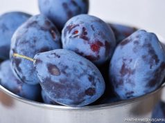 ЕС больше одного изобилия в они руки не дает – проблема с квотами на молдавские сливы сливы