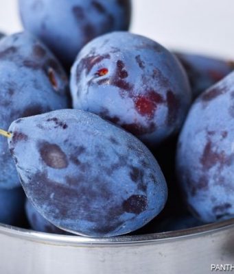 ЕС больше одного изобилия в они руки не дает – проблема с квотами на молдавские сливы сливы