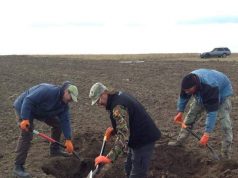 Останки трех военнослужащих вермахта найдены в Молдове