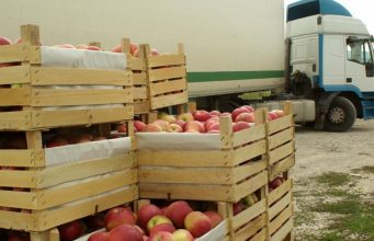 Пять фирм, занимающихся экспортом и импортом, подозревают в контрабанде яблок из Украины и экспорте их в Россию под видом молдавских.