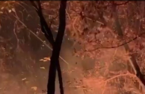 В Долине роз Свадебный мост пережил пожар