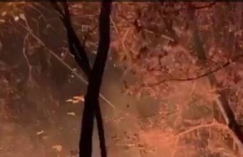 В Долине роз Свадебный мост пережил пожар