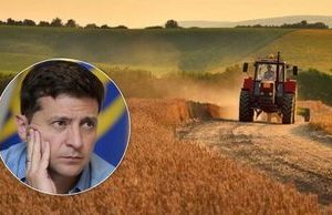 Вопрос о продаже земли на Украине иностранцам вынесут на референдум