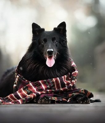 Прогноз погоды в Молдове на 26 ноября 2019 года: градус повышается