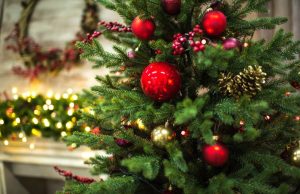 В Кишинёве появились в продаже живые новогодние ёлки новый год