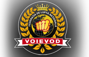 Молдавский “Воевод” снова лучший