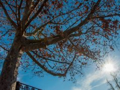 Прогноз погоды в Молдове на 9 декабря 2019