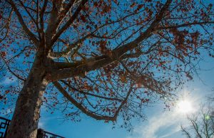 Прогноз погоды на сегодня: +5°С, без осадков