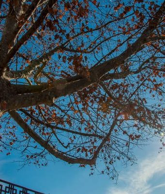 Прогноз погоды в Молдове на 9 декабря 2019