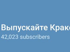 Посольство США обеспокоено тем, что мнение Госдепа перестанет распространяться в России