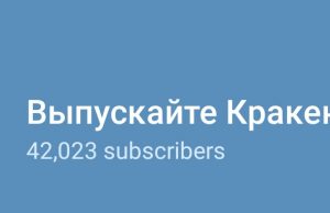 Посольство США обеспокоено тем, что мнение Госдепа перестанет распространяться в России