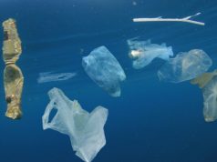 В океане в миллионы раз больше микропластика, чем считалось раньше