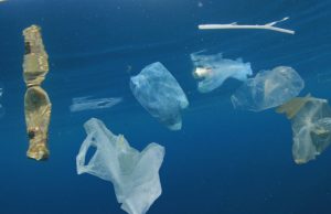 В океане в миллионы раз больше микропластика, чем считалось раньше