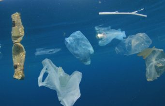 В океане в миллионы раз больше микропластика, чем считалось раньше