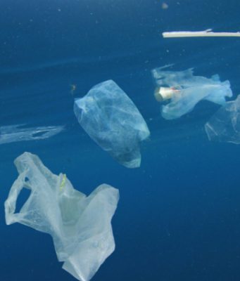 В океане в миллионы раз больше микропластика, чем считалось раньше