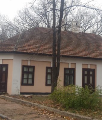 Михаил Лупашко стал директором дома-музея Пушкина музей Пушкина