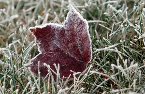 На этой неделе днем будет солнечно, а ночью – мороз