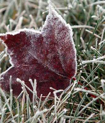 На этой неделе днем будет солнечно, а ночью – мороз