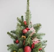 К предстоящим зимним праздникам агентство “Moldsilva” предложит на продажу более 52 тысяч новогодних елок