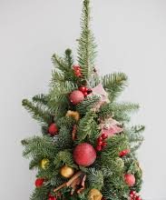 К предстоящим зимним праздникам агентство „Moldsilva” предложит на продажу более 52 тысяч новогодних елок