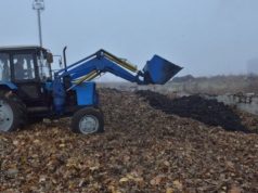 В Кишиневе открыли полигон для сбора, переработки и хранения листьев, веток и травы