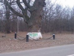 »То, что Плахотнюк вовлек его в схему, сделал козлом отпущения и принес в жертву, не уменьшает его вины»