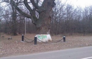 ”То, что Плахотнюк вовлек его в схему, сделал козлом отпущения и принес в жертву, не уменьшает его вины”